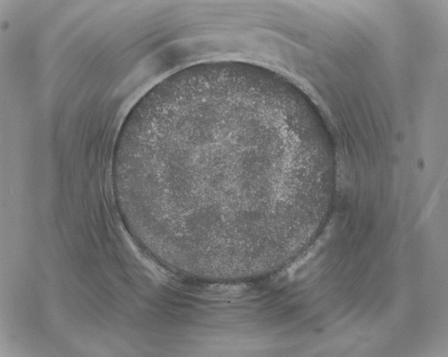 X0000077291513200611171614