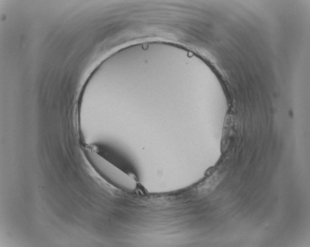 X0000077291516200611171614