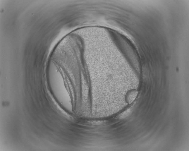 X0000077291517200611171614