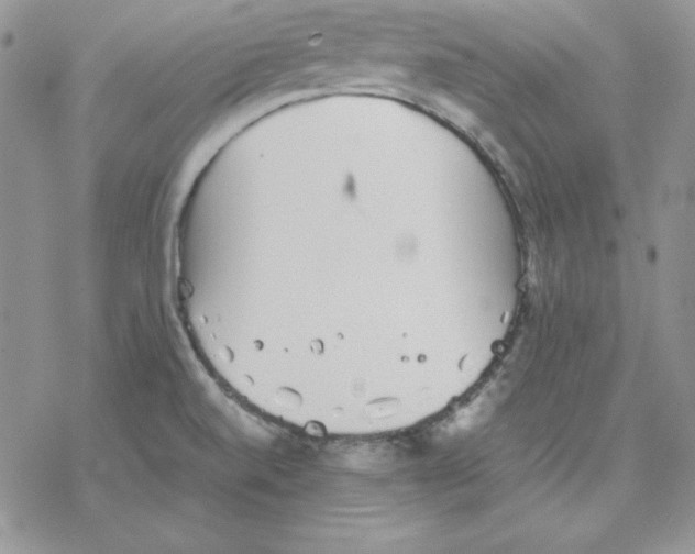 X0000077291520200611171614