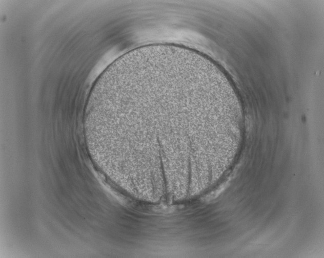 X0000077291521200611171614