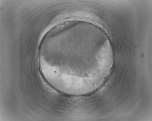 X0000077291522200611171614