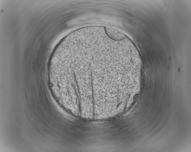 X0000077291523200611171614