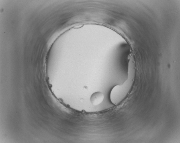 X0000077291524200611171614