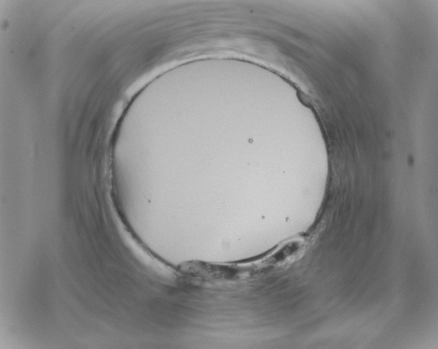 X0000077291526200611171614