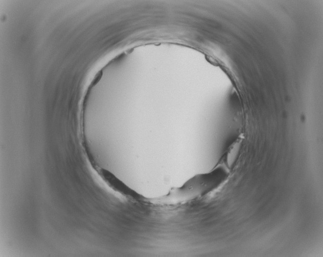 X0000077291528200611171614