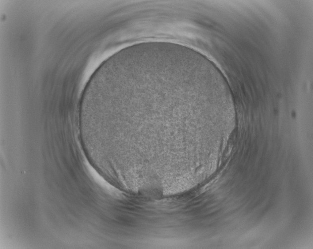 X0000077291531200611171614