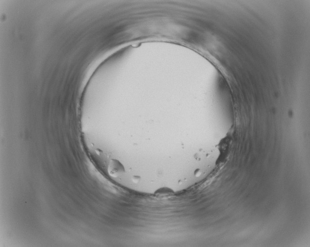 X0000077291532200611171614