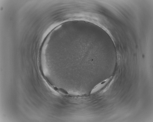 X0000077291533200611171614