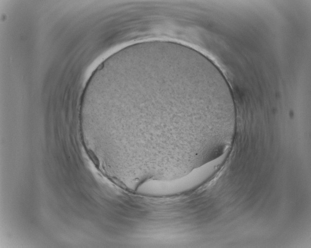 X0000077291534200611171614