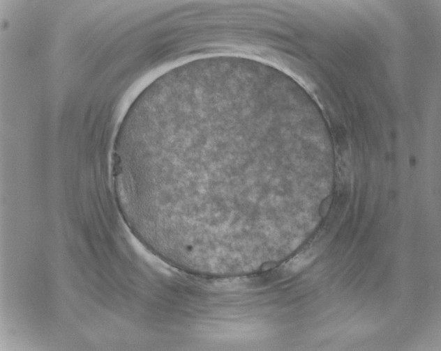 X0000077291535200611171614