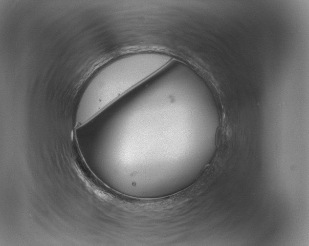 X0000077310013200610200853