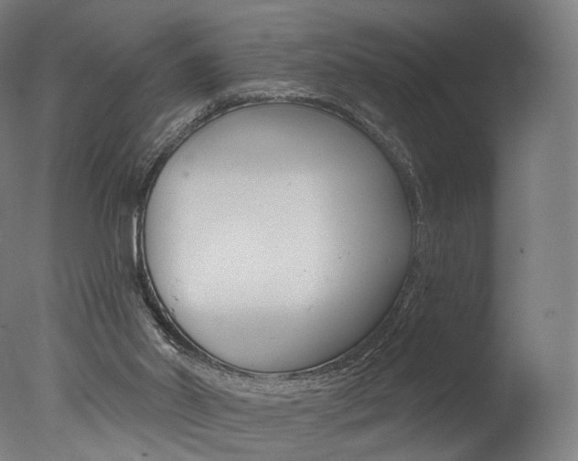 X0000077310014200610200853