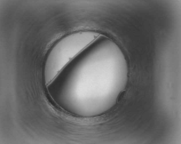 X0000077310019200610200853