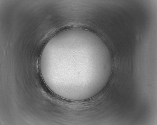 X0000077310024200610200853