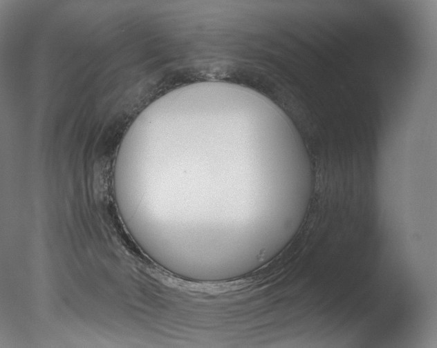 X0000077310030200610200853