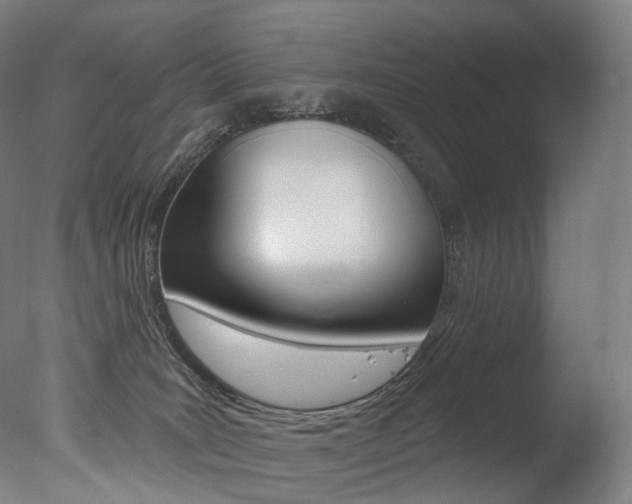 X0000077310035200610200853