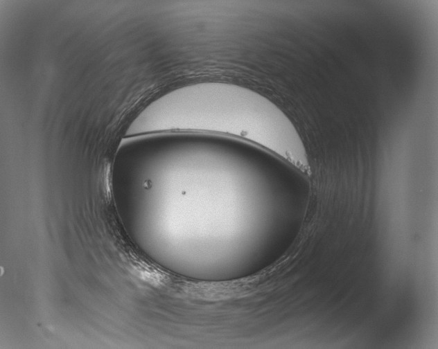 X0000077310041200610200853