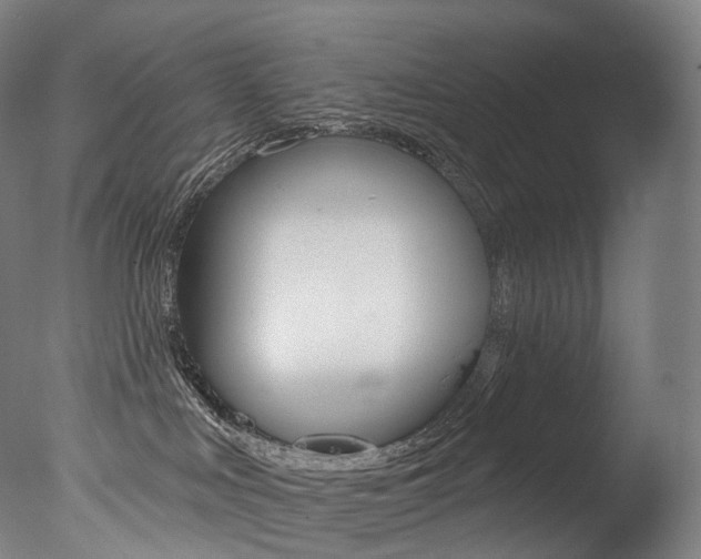 X0000077310043200610200853