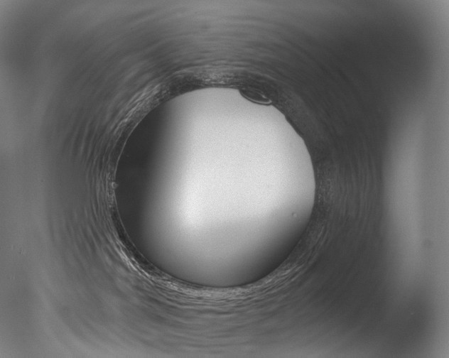 X0000077310044200610200853