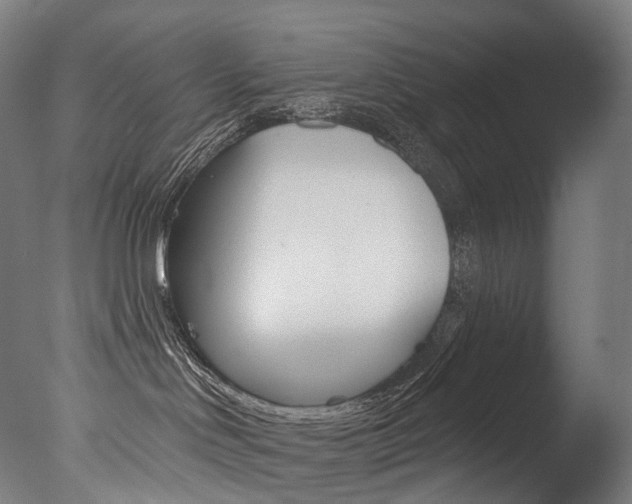 X0000077310046200610200853