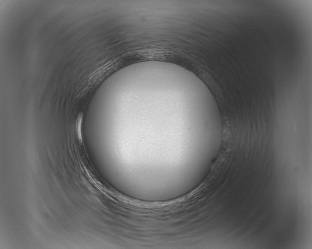 X0000077310047200610200853