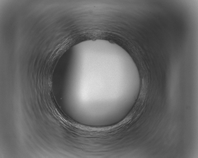 X0000077310048200610200853