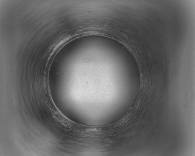 X0000077310050200610200852