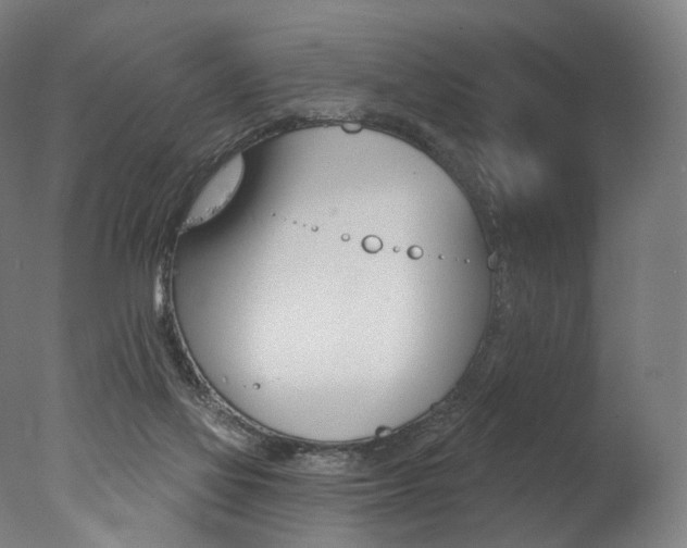 X0000077310069200610200852