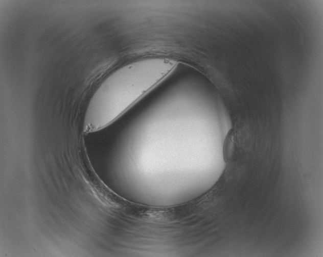 X0000077310070200610200852
