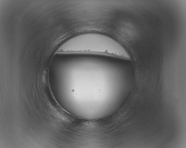 X0000077310071200610200852