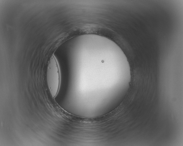 X0000077310073200610200852