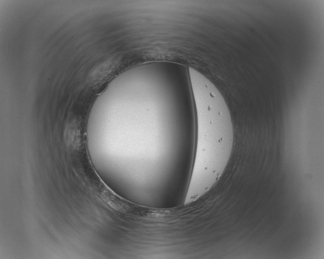 X0000077310080200610200852