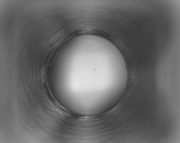 X0000077310082200610200852