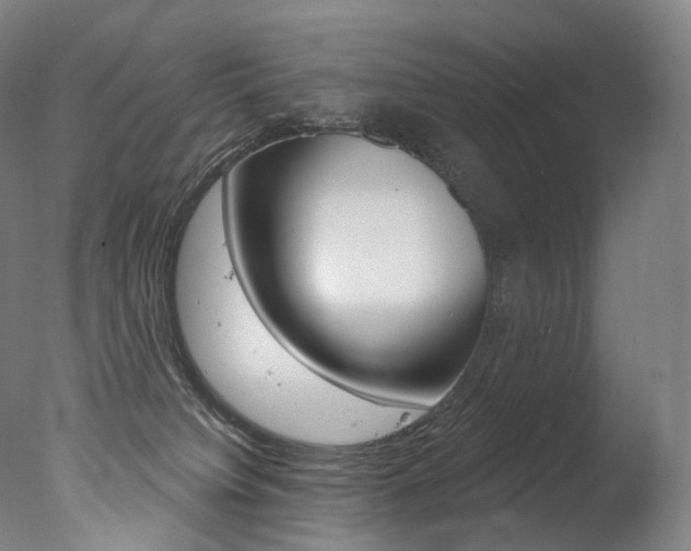 X0000077310084200610200852
