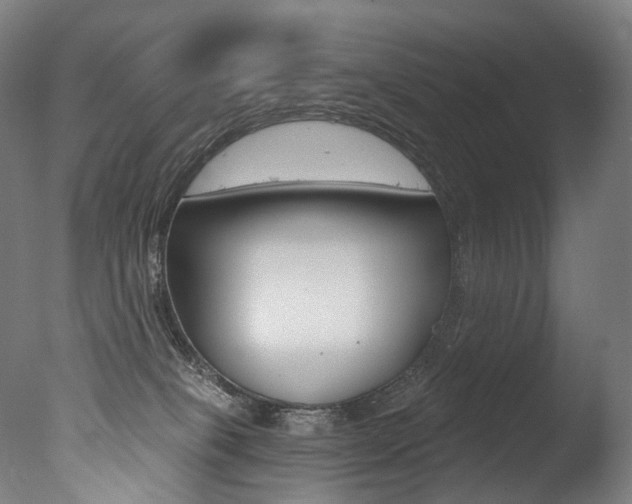 X0000077310085200610200852
