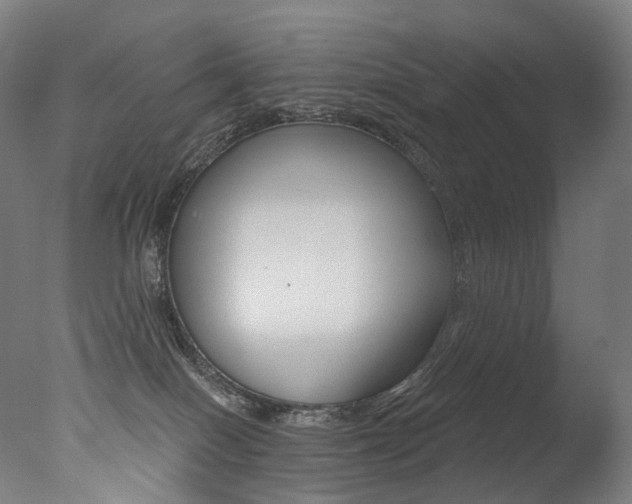 X0000077310086200610200853