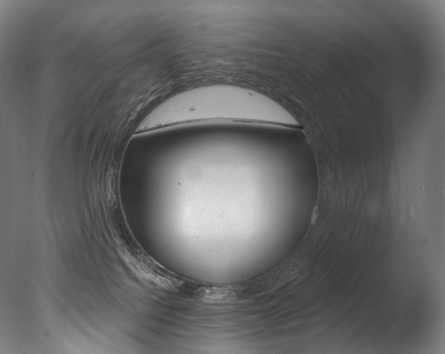 X0000077310088200610200853