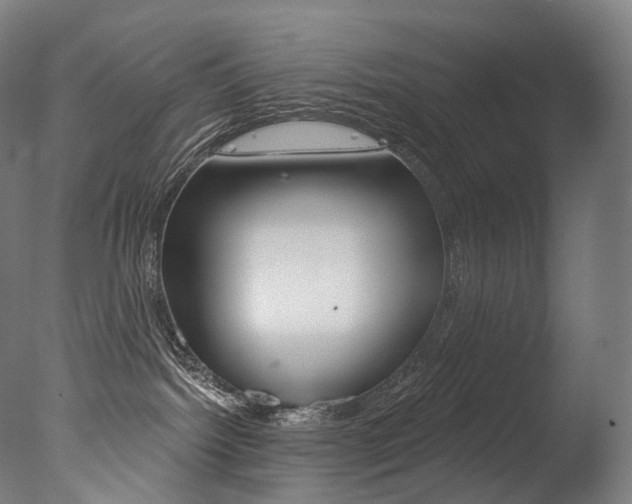 X0000077310092200610200853