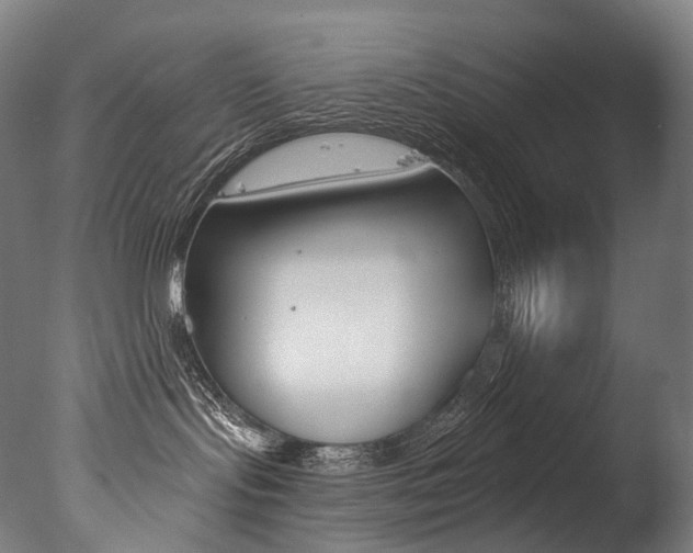 X0000077310095200610200853