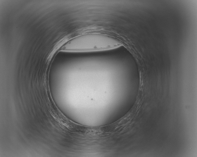 X0000077310099200610200852