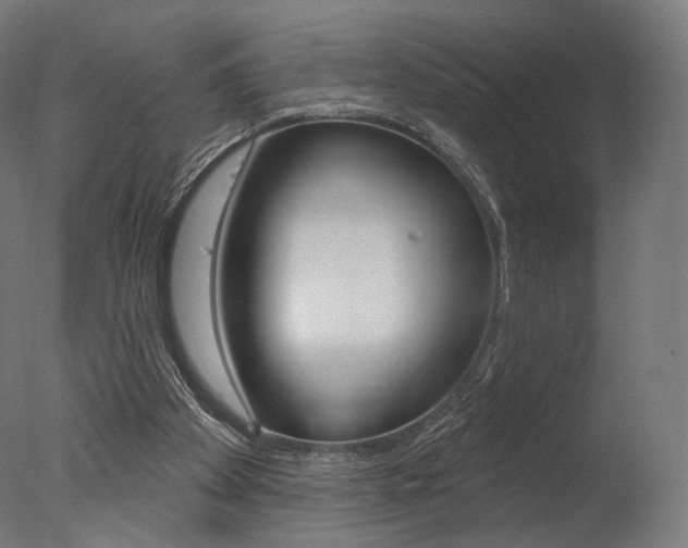 X0000077310105200610200852