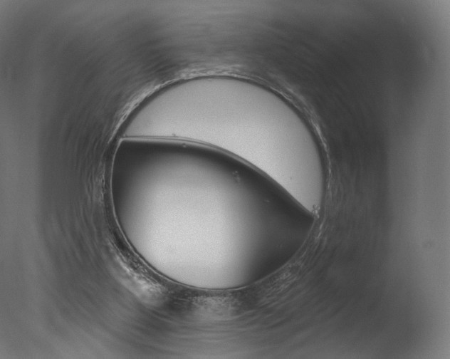 X0000077310107200610200852