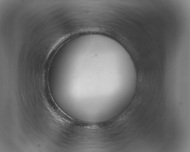 X0000077310112200610200852