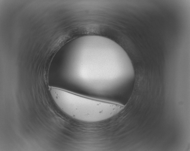X0000077310123200610200851