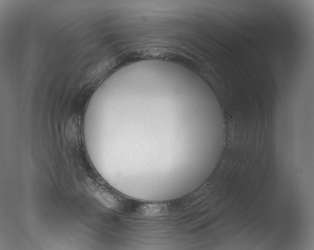 X0000077310126200610200851