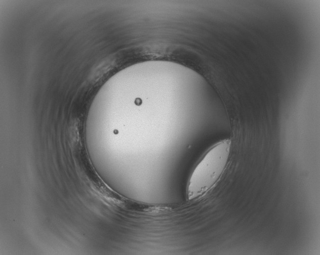 X0000077310128200610200851