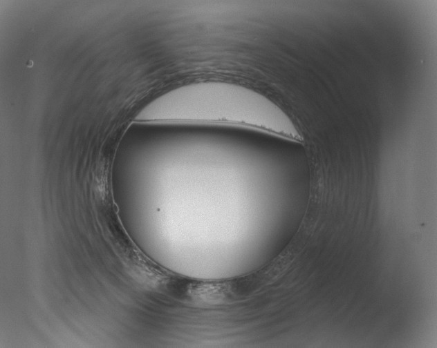 X0000077310129200610200851