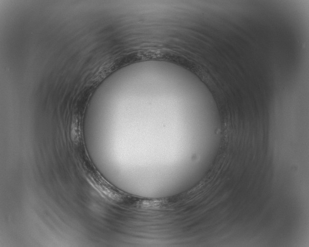 X0000077310134200610200851