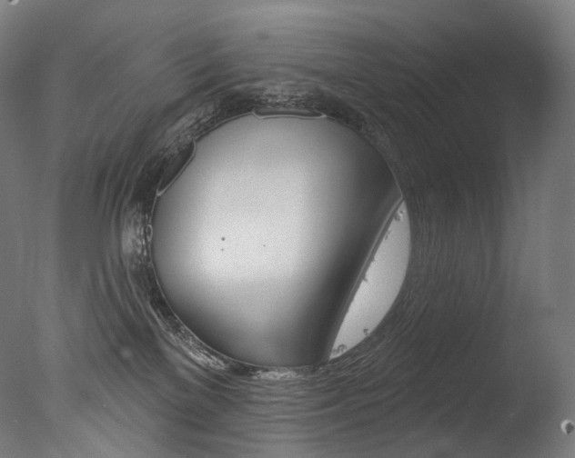 X0000077310137200610200851
